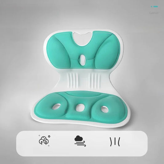 Ergonomic Spine Support Cushion